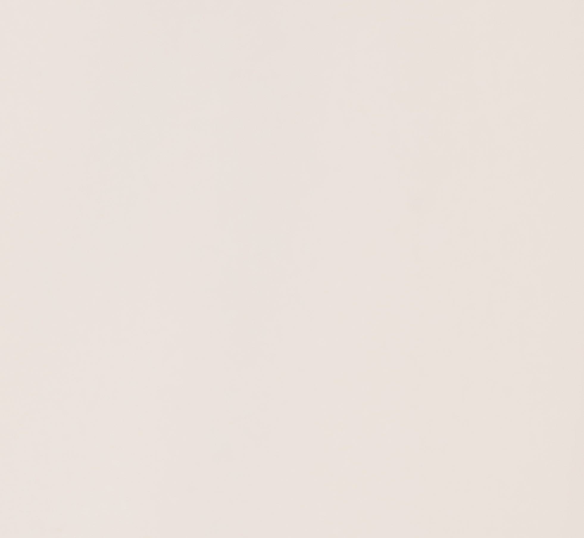 Lace Hem Tie Neck Blouse In Ivory