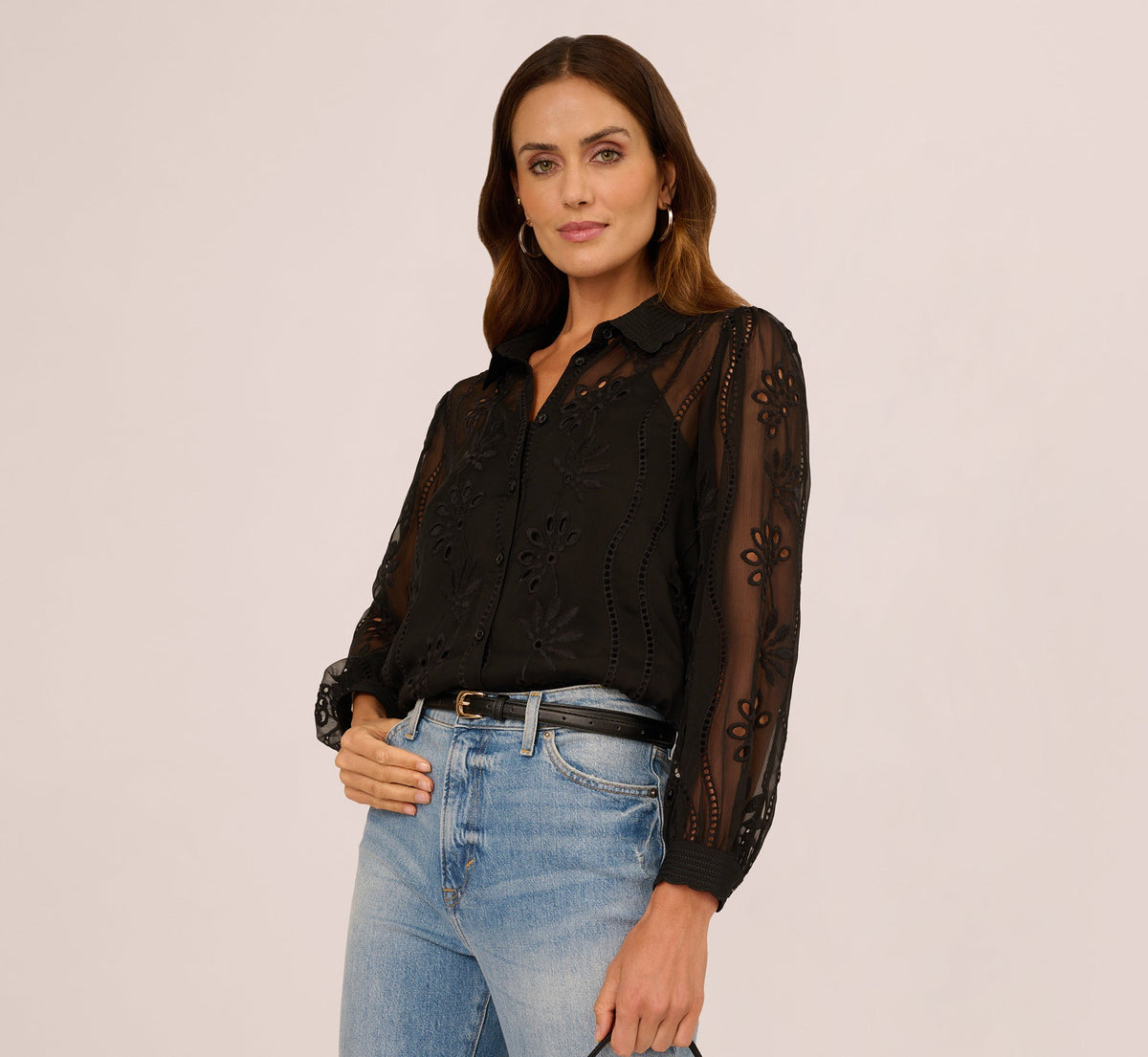 Long Sleeve Sheer Floral Eyelet Lace Blouse In Black