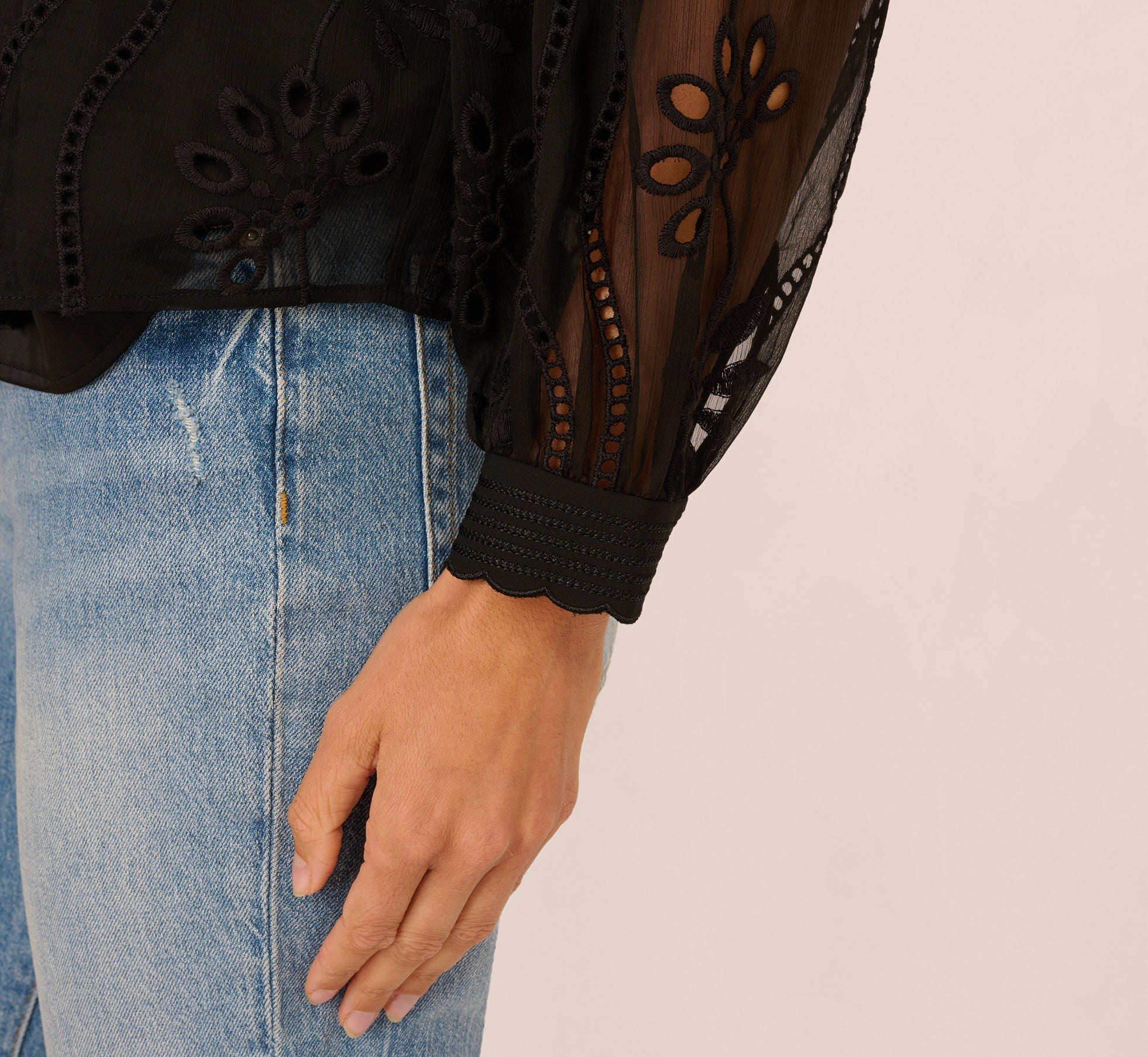 Long Sleeve Sheer Floral Eyelet Lace Blouse In Black
