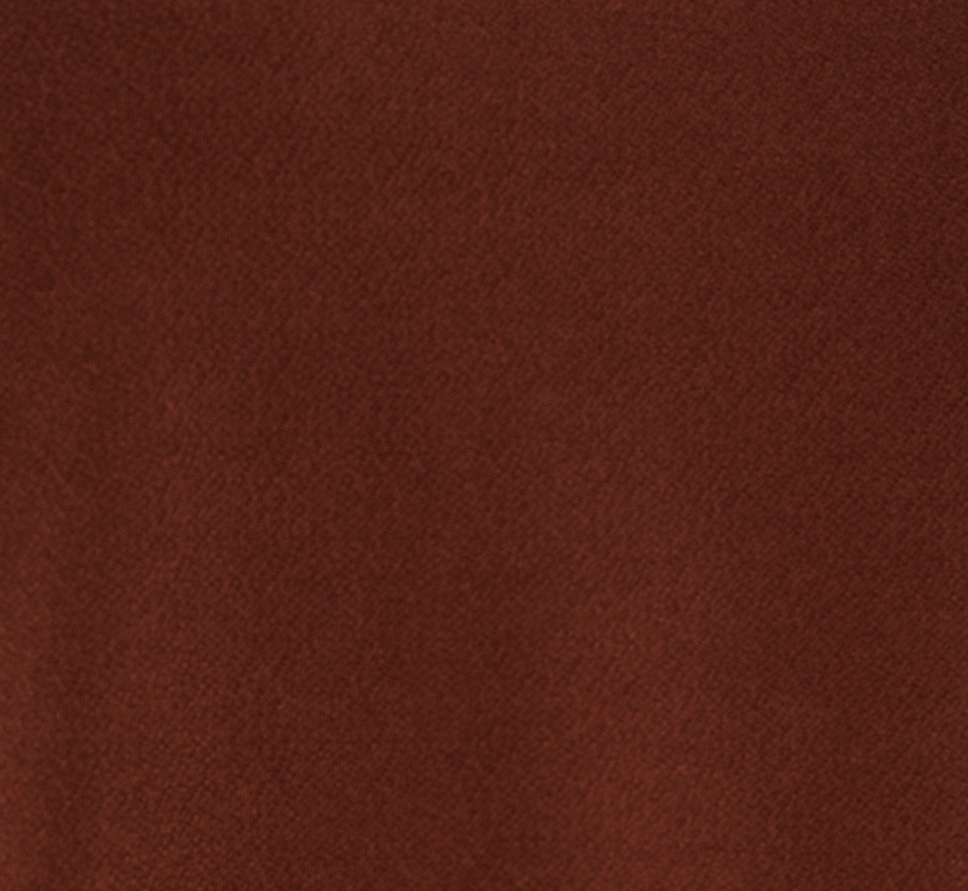 Flutter Sleeve Contrast Tipped Top In Shaved Chocolate Ecru