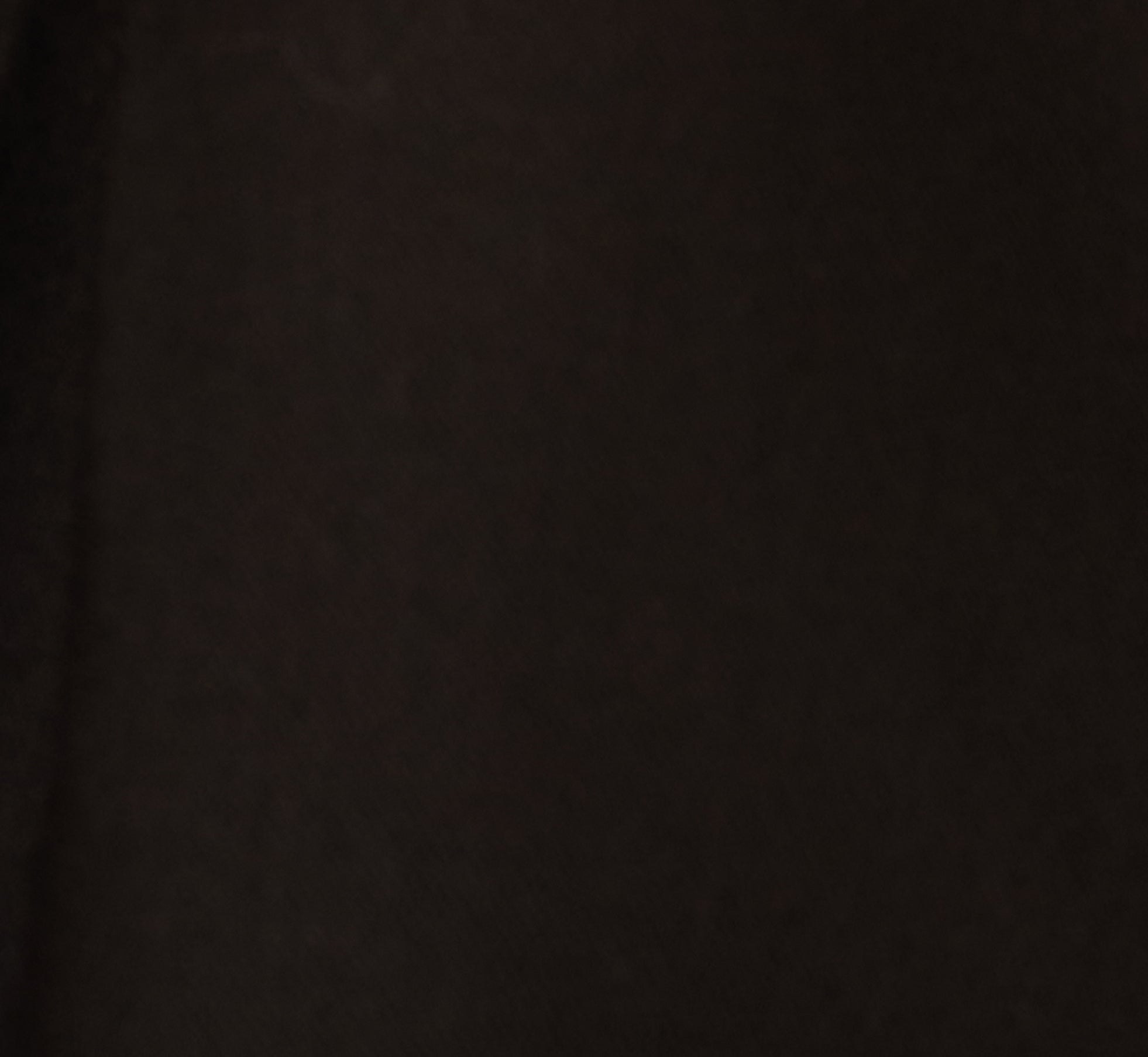 Wide Leg Pleated Trouser In Black