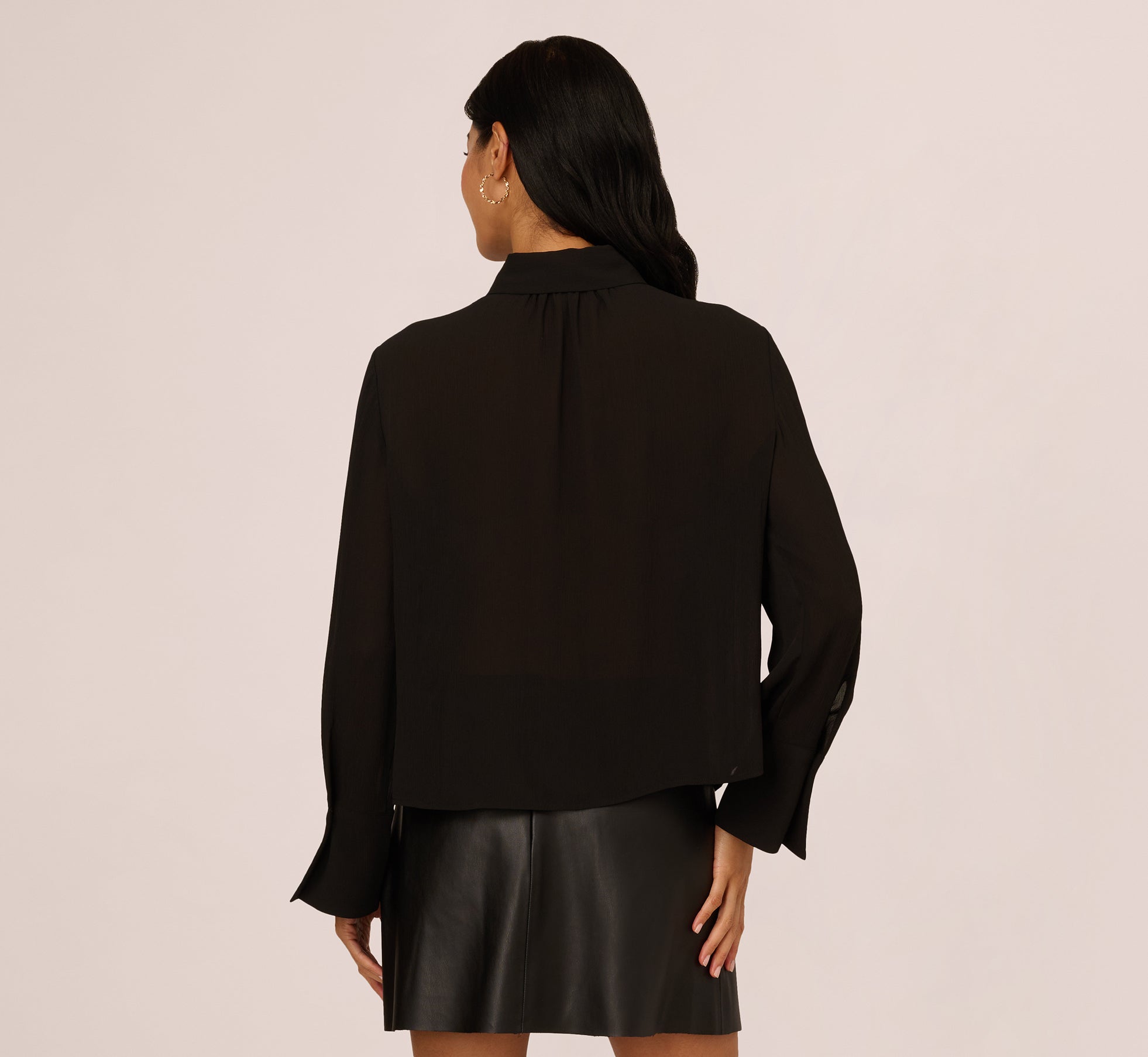 Long Sleeve Sheer Ruffle Front Blouse In Black