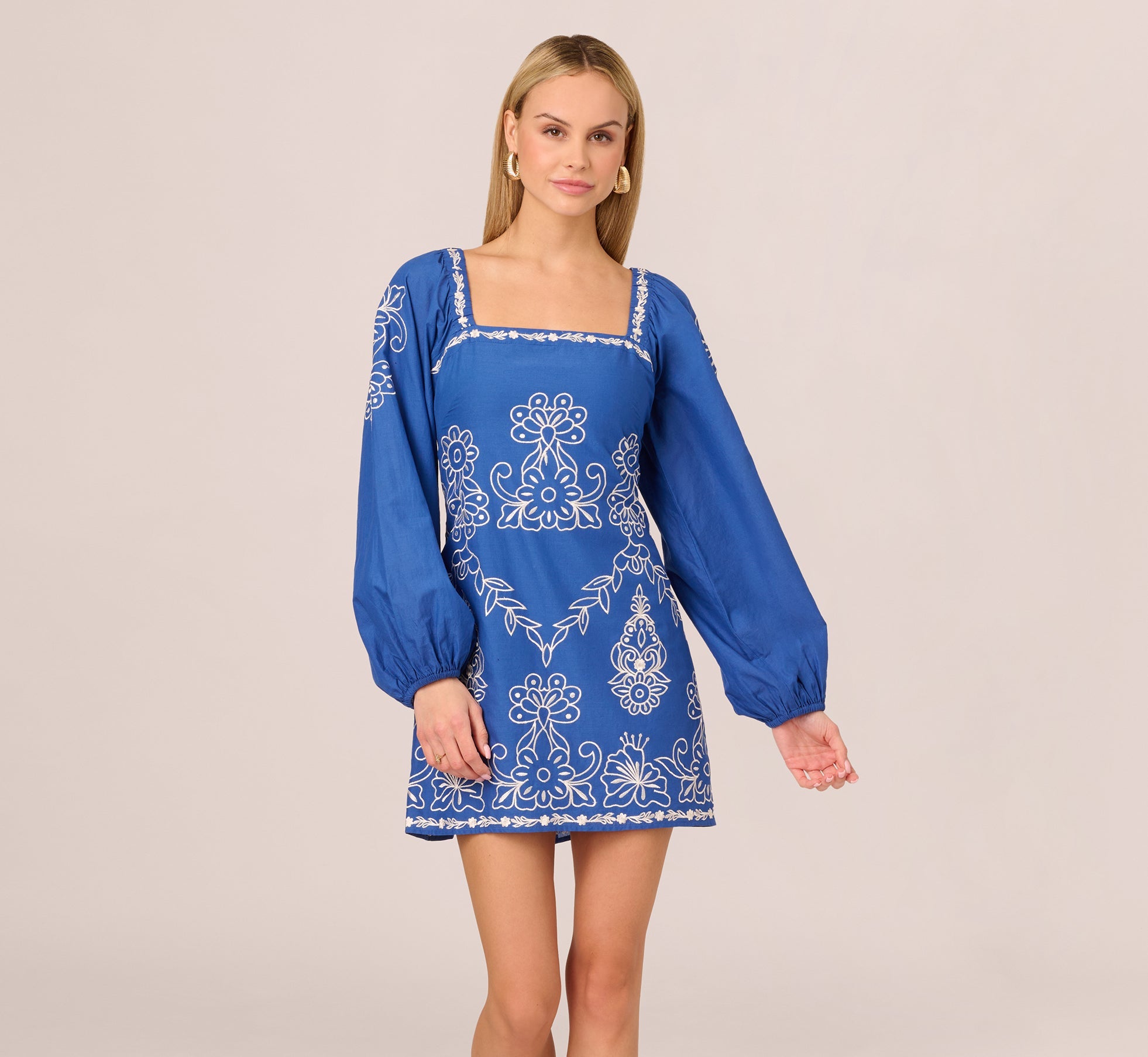 Long Sleeve Embroidered Cotton Mini Dress In Blue White