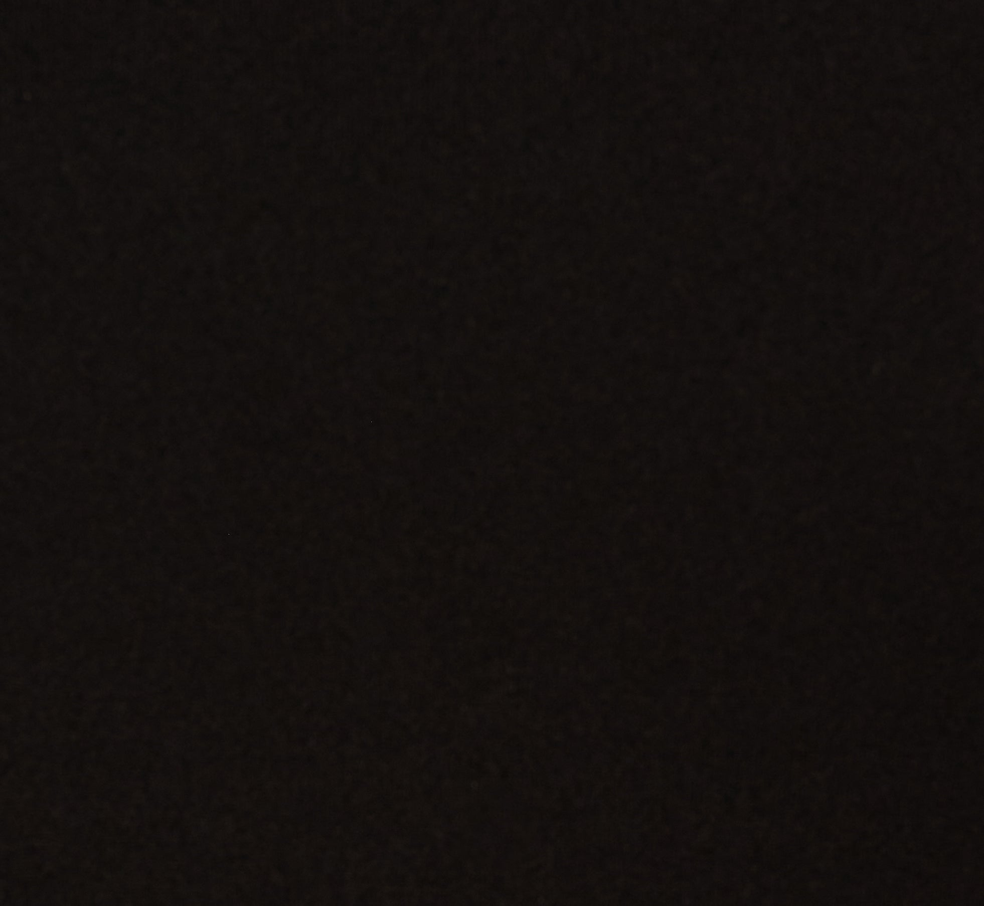 Plus Size Three Quarter Bell Sleeve Pearly Trim Sheath Dress In Black Ivory